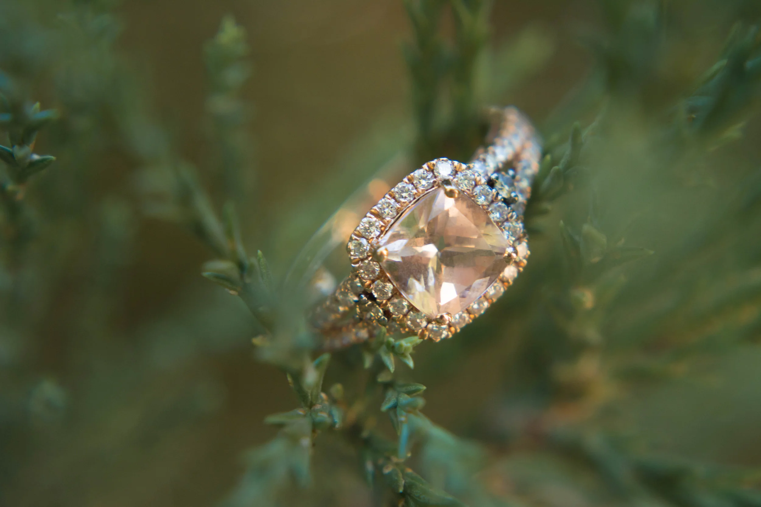 DSC_2127.jpg