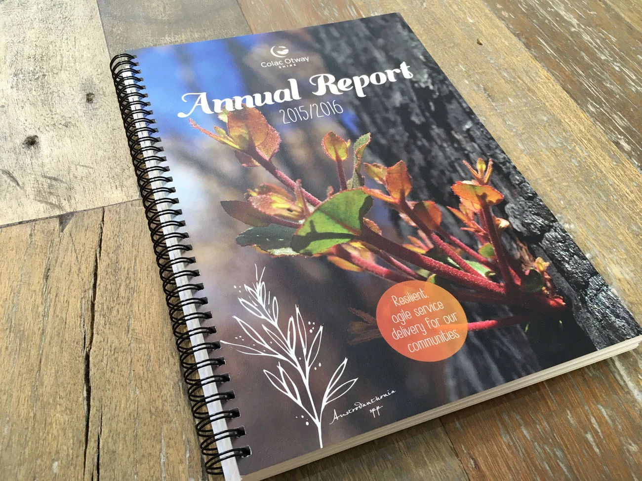 COLAC_OTWAY_SHIRE_ANNUAL_REPORT.jpg