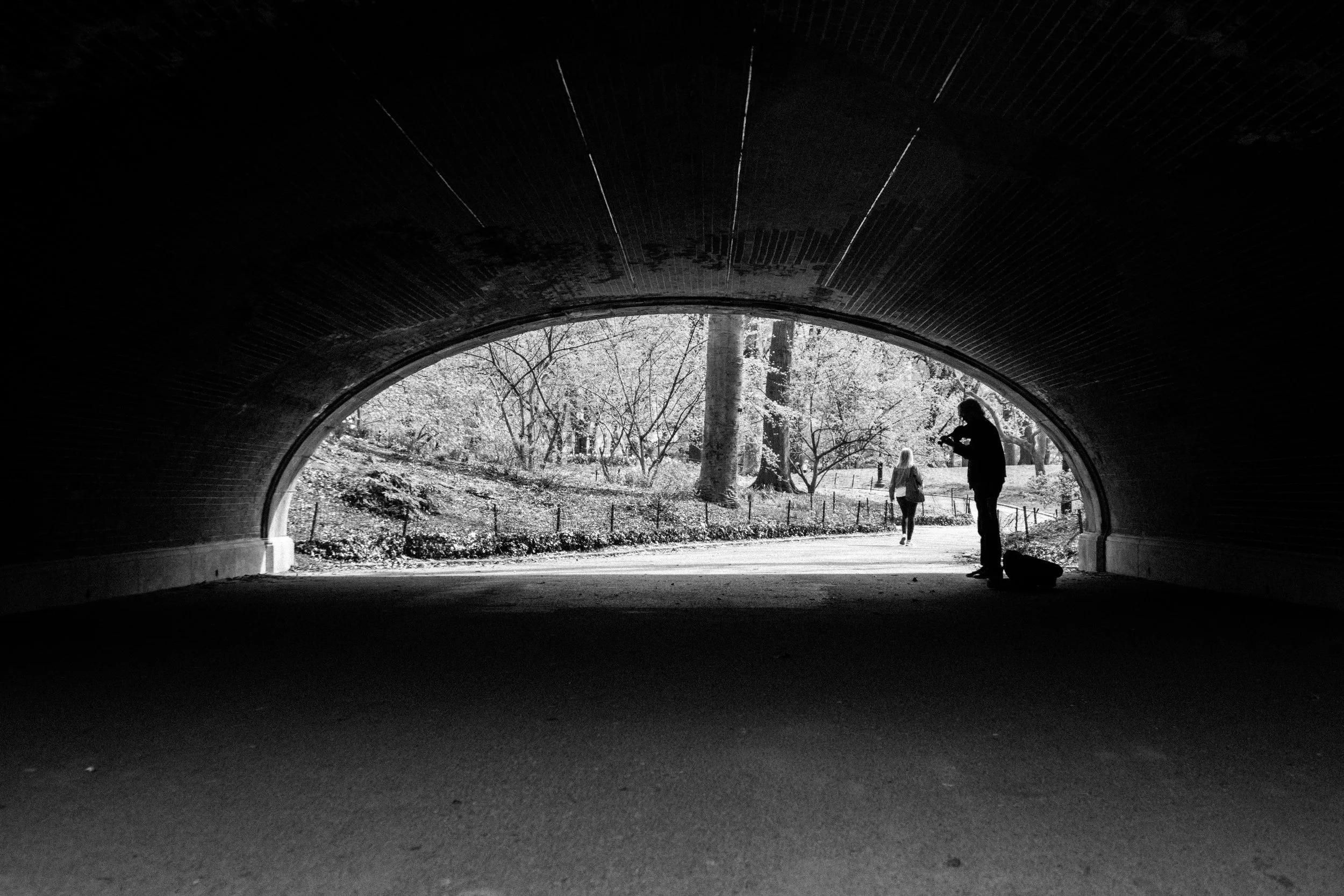 violinist central park.jpg