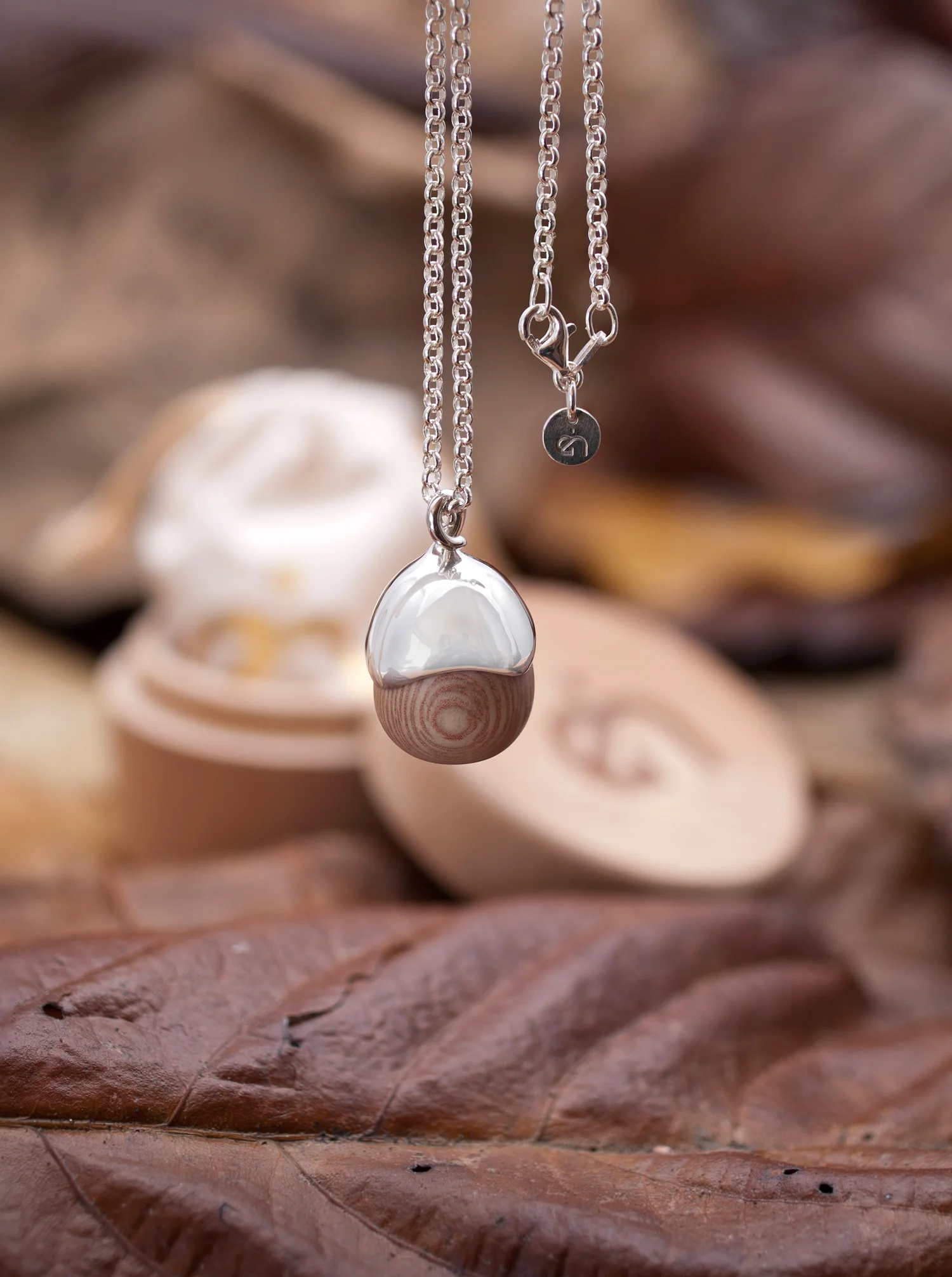 Acorn Pendant in rosewood and sterling silver with wood box packaging in leaves