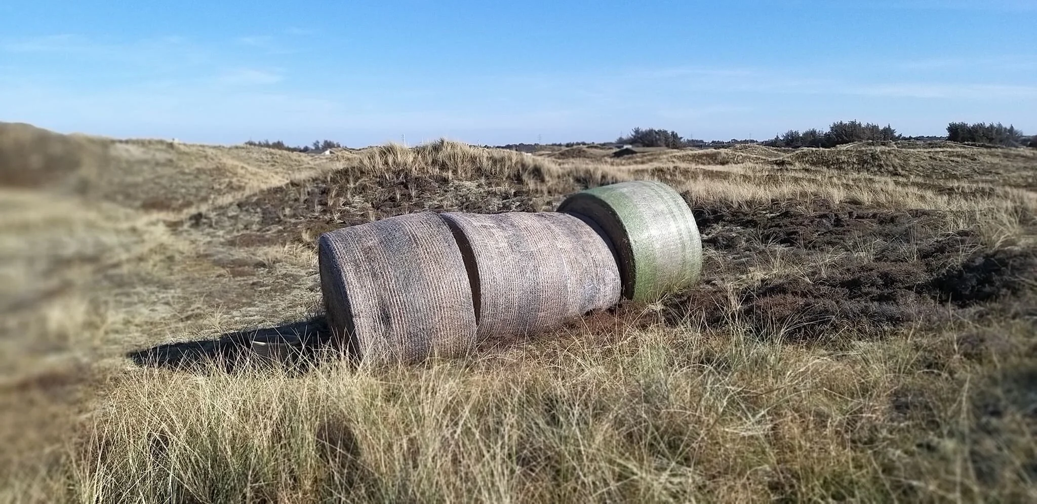 Holmsland9.jpg