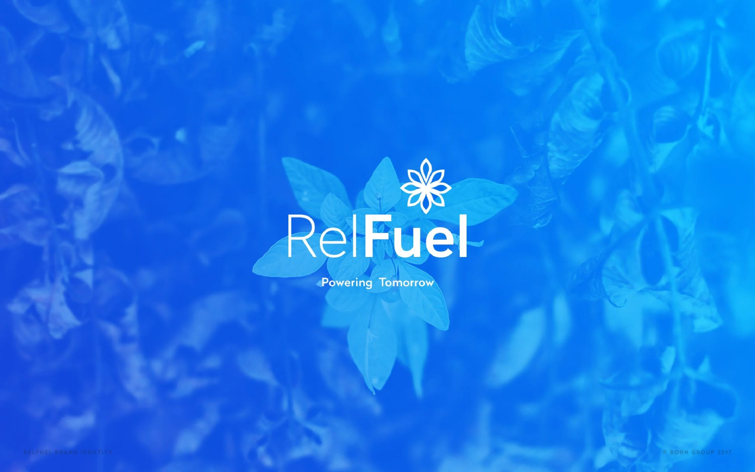 RelFuel_Branding_doc-page-016.jpg