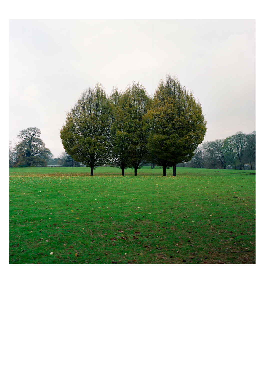 knaresborough-(9-von-13).jpg