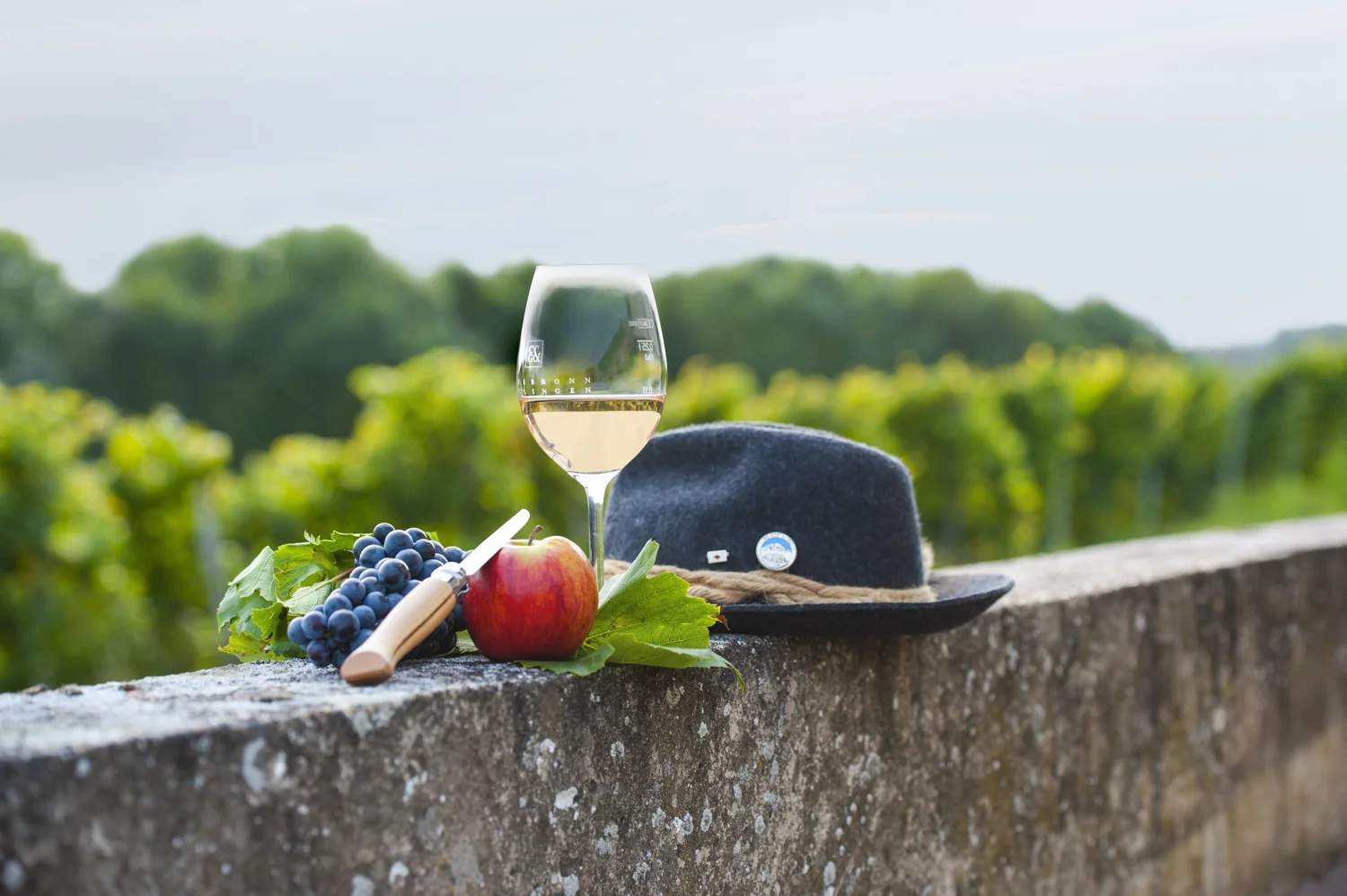 güglingen-wg- weinfest (3 von 17).jpg
