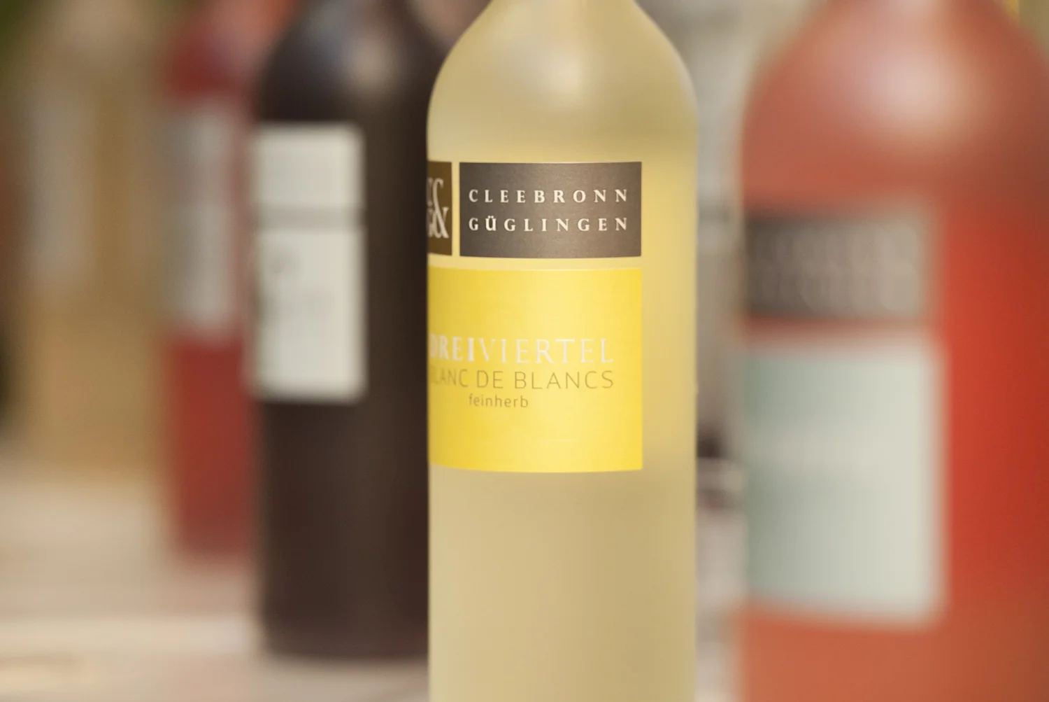 güglingen-wg- weinfest (7 von 17).jpg