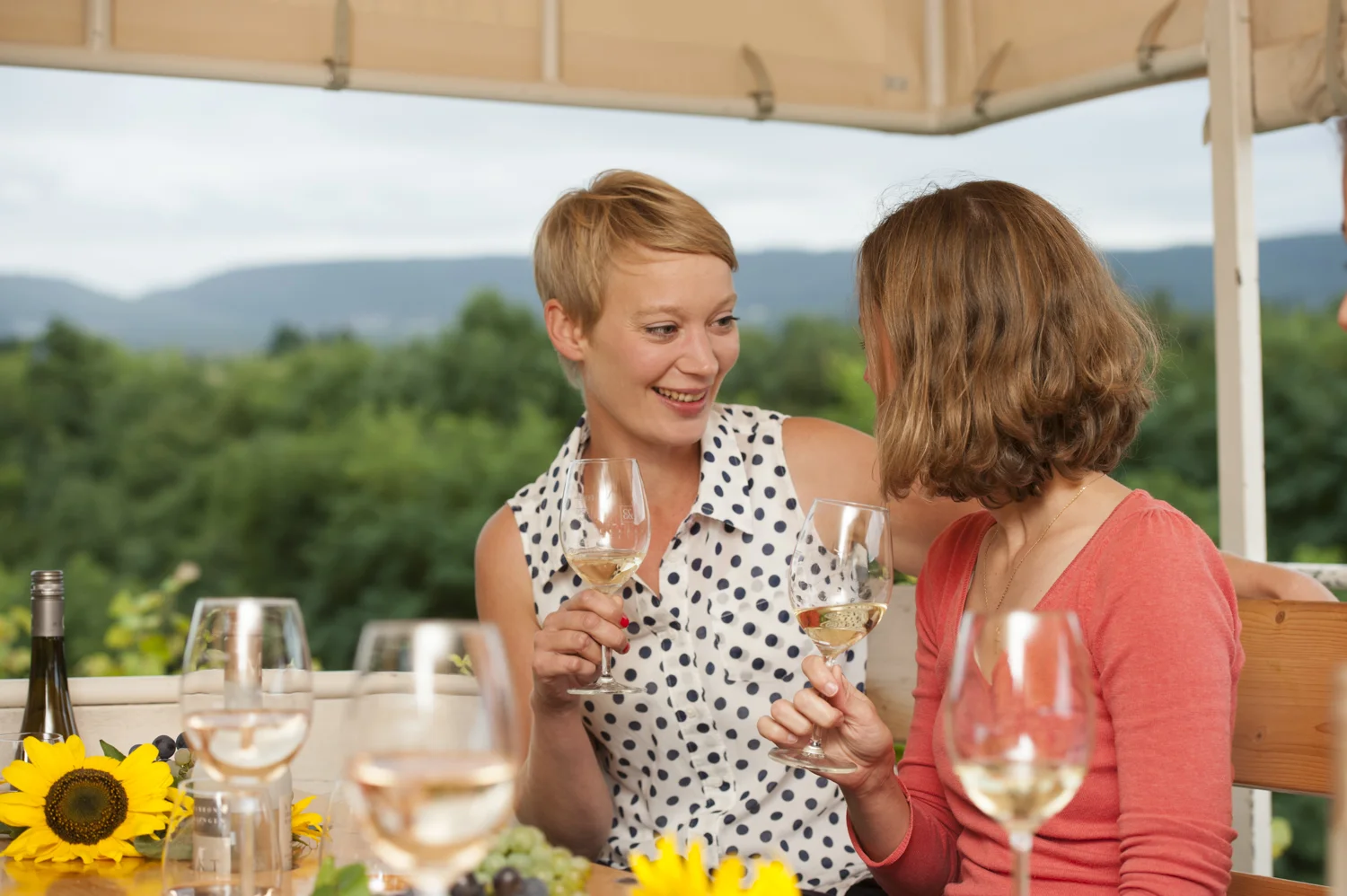 güglingen-wg- weinfest (14 von 17).jpg