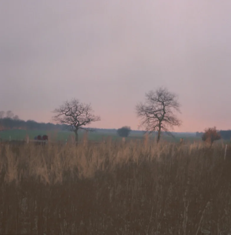 Fotoprojekt Lochkamera - meine Orte (3).jpg