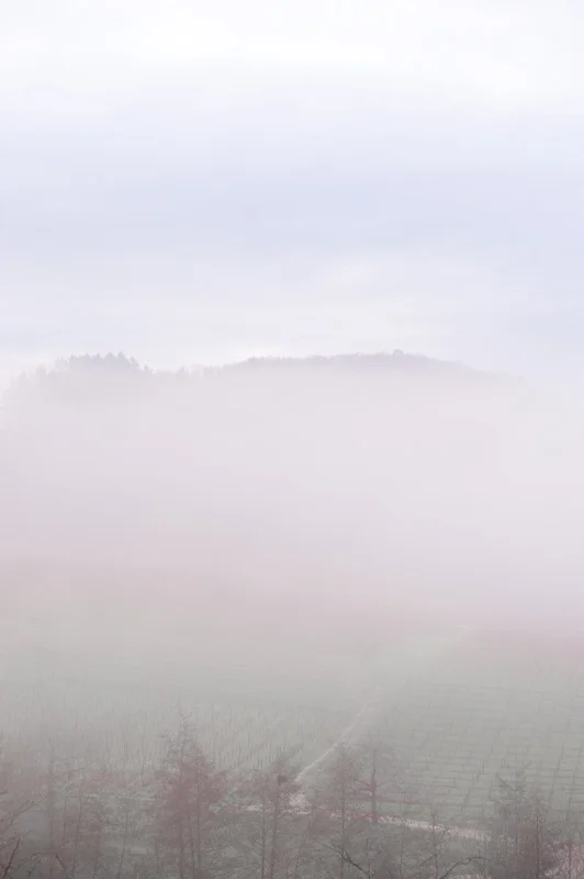 Fotoprojekt - Stille  (2).jpg