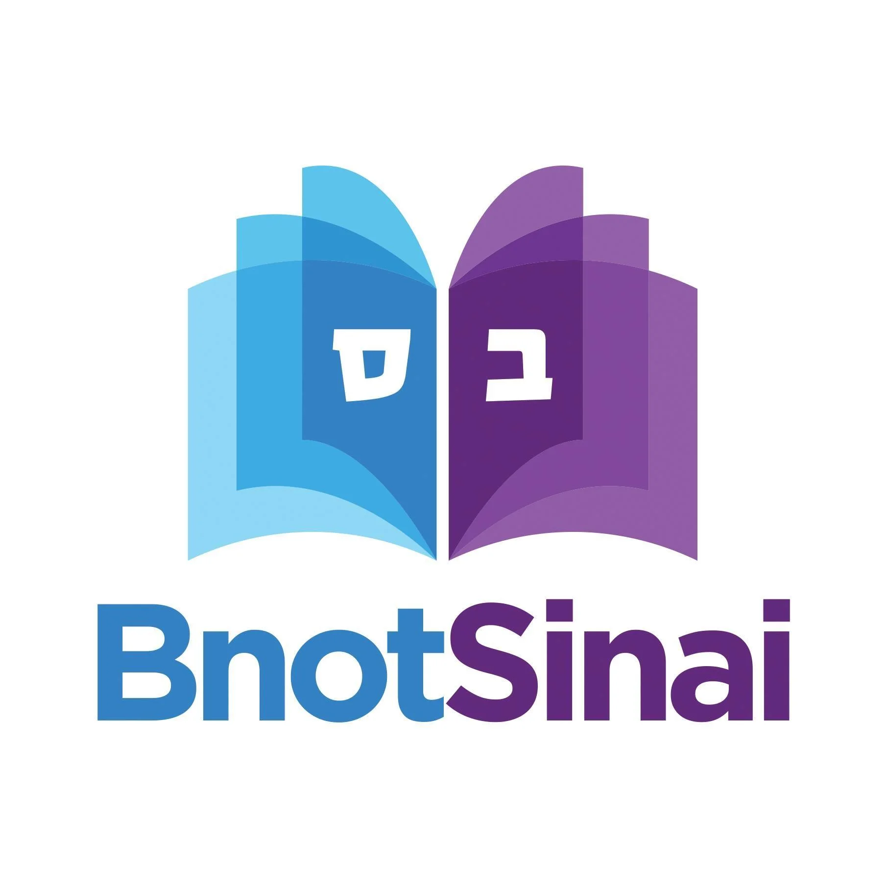 Bnot Sinai Logo.jpg