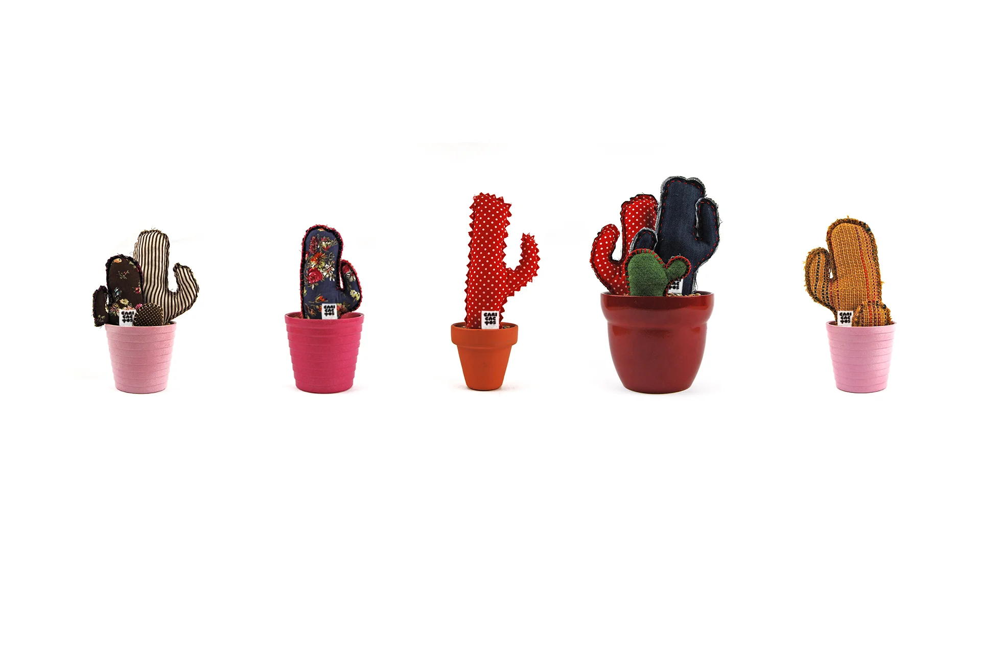Brand-Designer_Aida-Fernandez_Caricactos-cactus.jpg