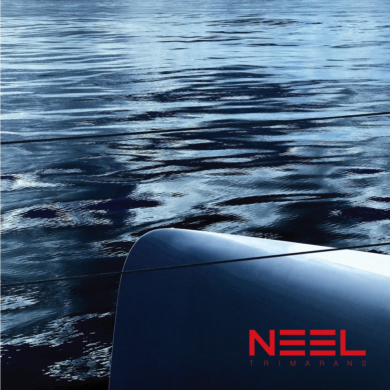NEEL a.jpg