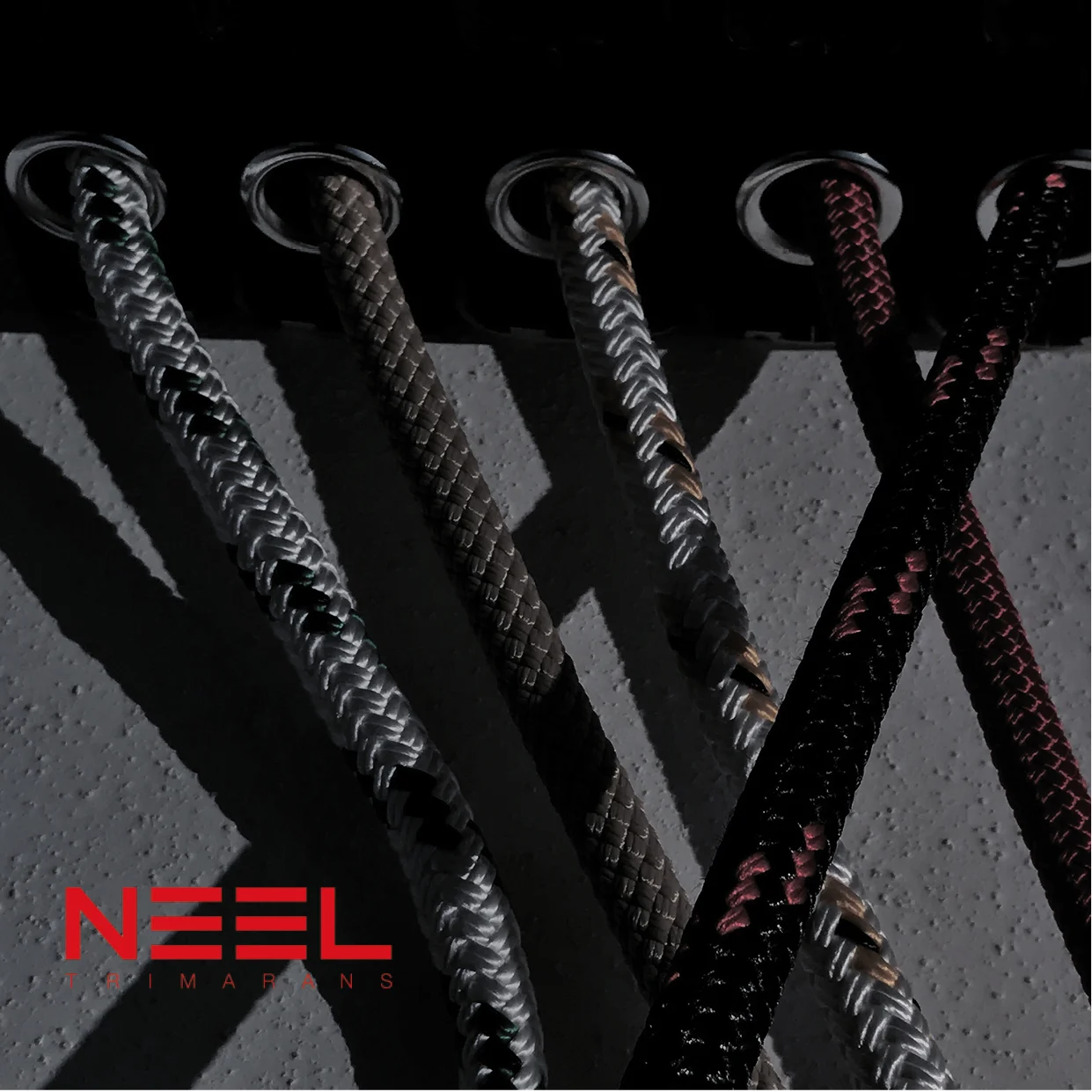 NEEL d.jpg