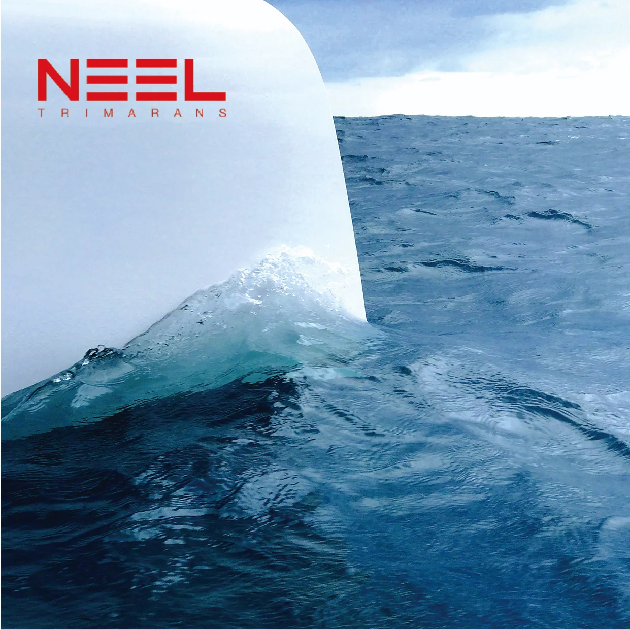 NEEL e.jpg