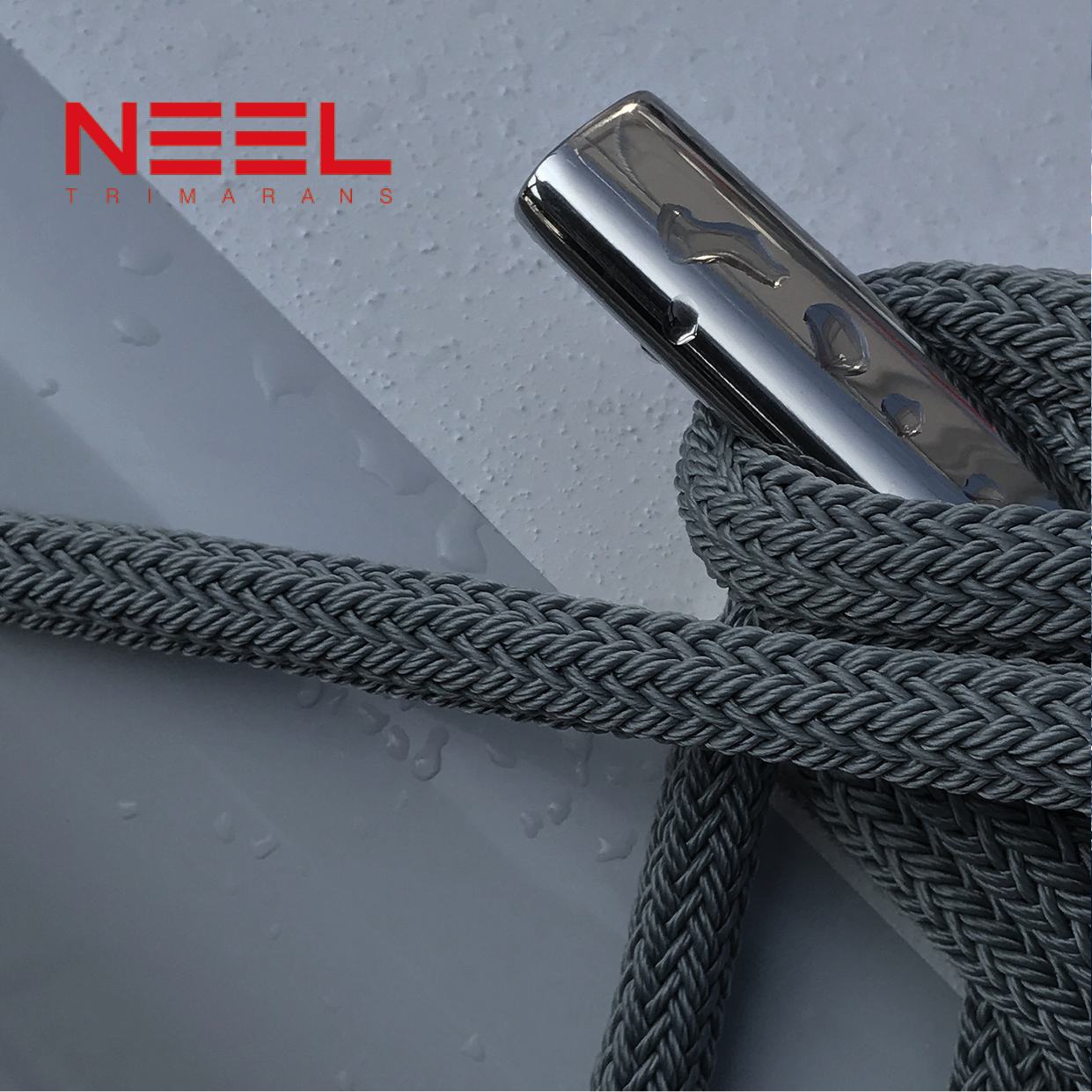NEEL i.jpg