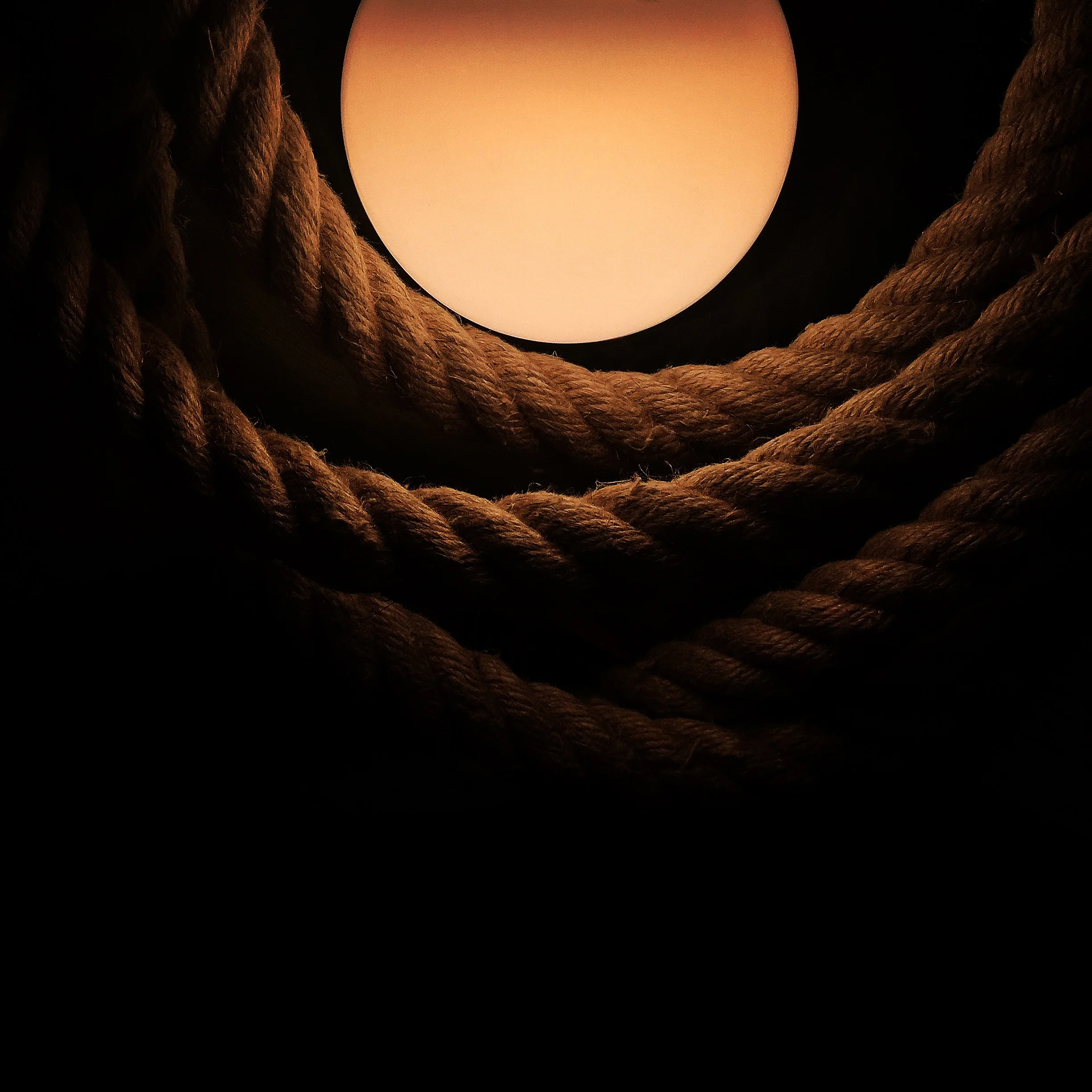 LIGHT.jpg