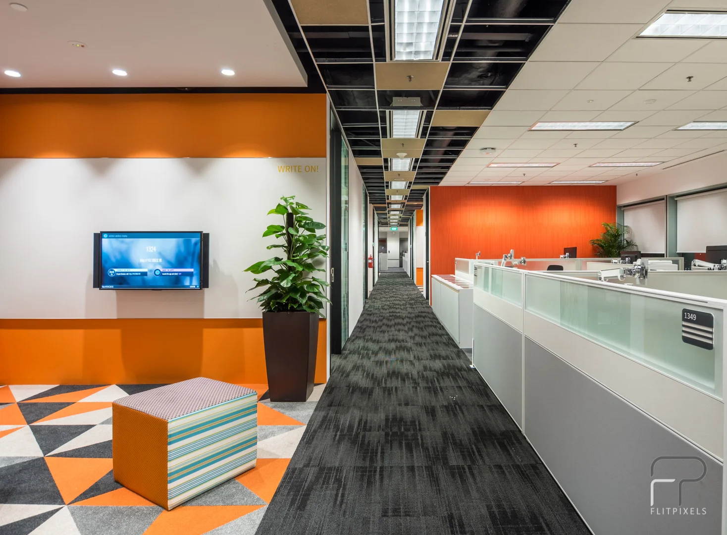 Copy of _ELO0183-HDR.jpg