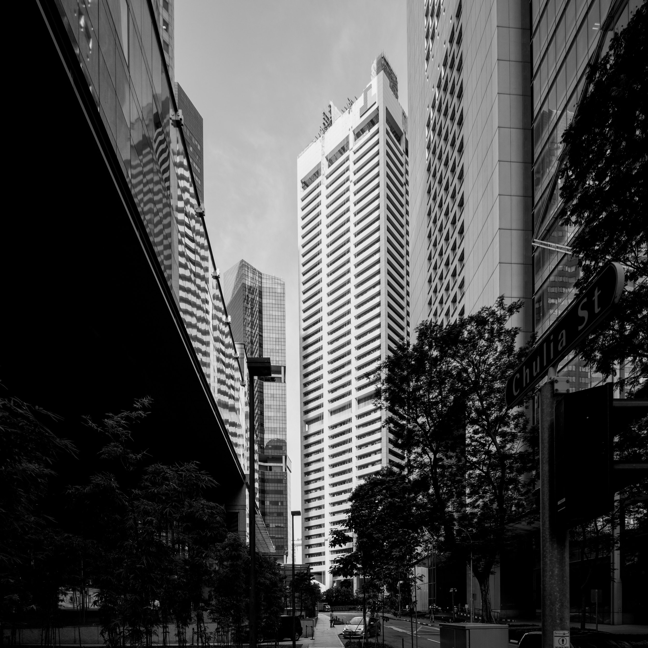 processed__DSC2748.jpg