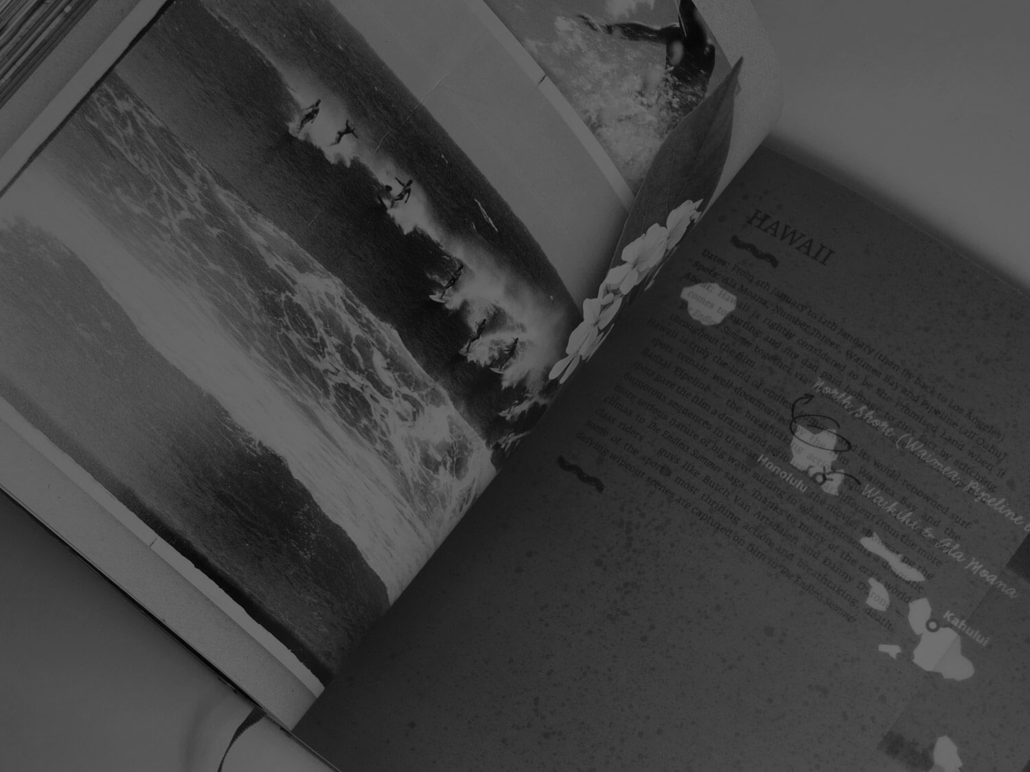 The-Endless-Summer-Box-Set-Book-Limited-Numbered-Edition-50th-Anniversary-Collection-book-inside-1d.jpg