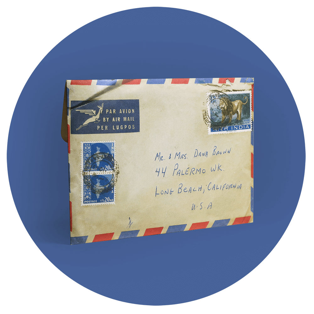 The-Endless-Summer-Box-Set-Book-Limited-Numbered-Edition-50th-Anniversary-Collection-photos.png