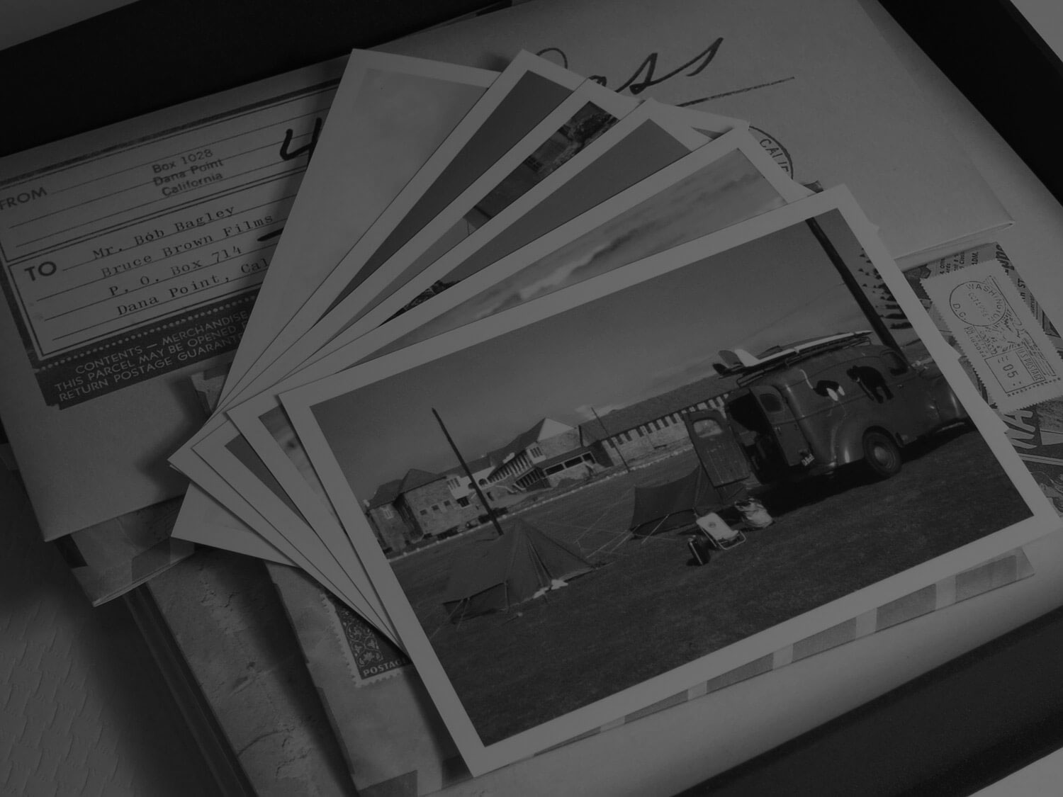 The-Endless-Summer-Box-Set-Book-Limited-Numbered-Edition-50th-Anniversary-Collection-photos.jpg