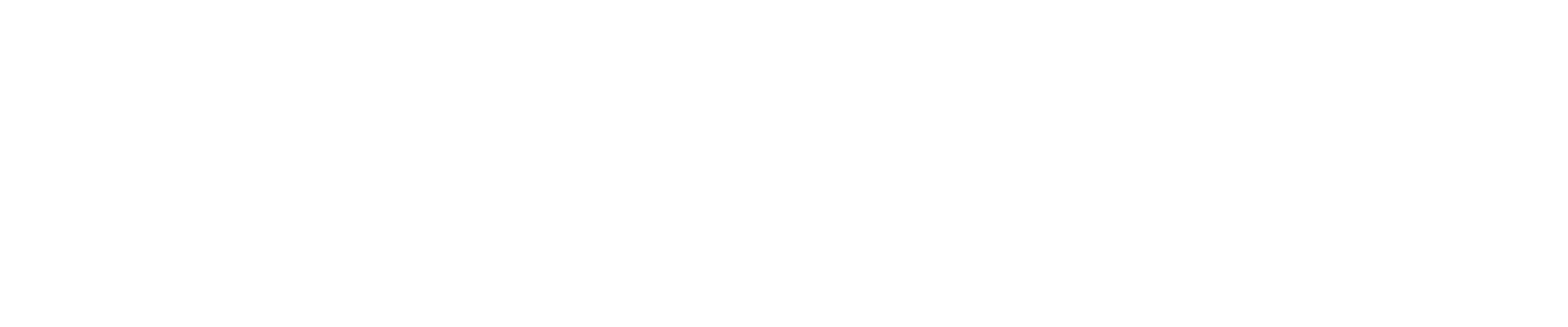 Bruce Brown Films