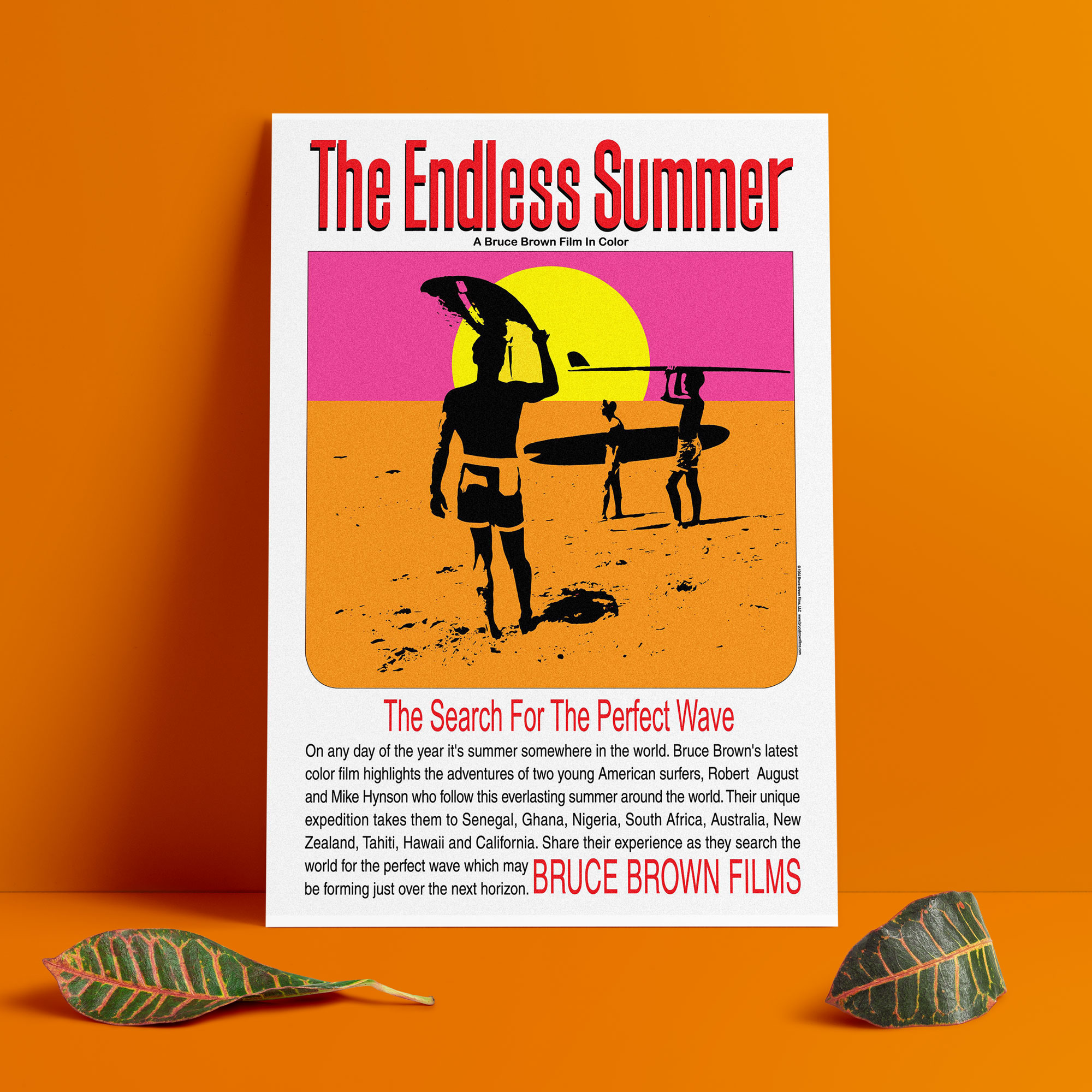 the ENDLESS SUMMER RARE LIMITED EDITION PATHTAG film/poster art NEW 