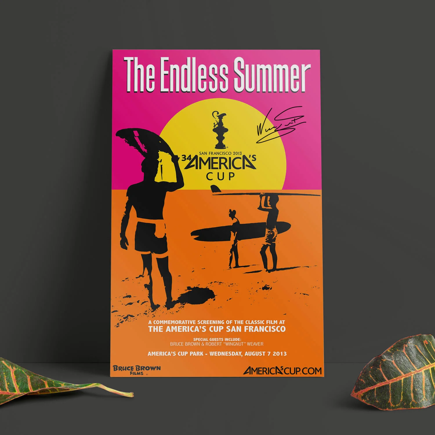 1-The-Endless-Summer-America's