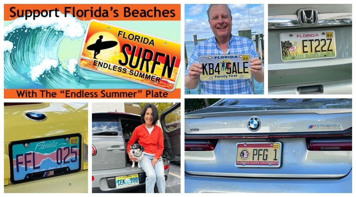 islandernews.com -  "Endless Summer" specialty plate support ocean programs
