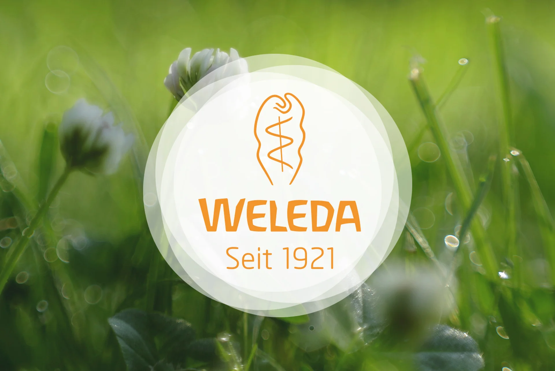 Weleda vor grün.jpg