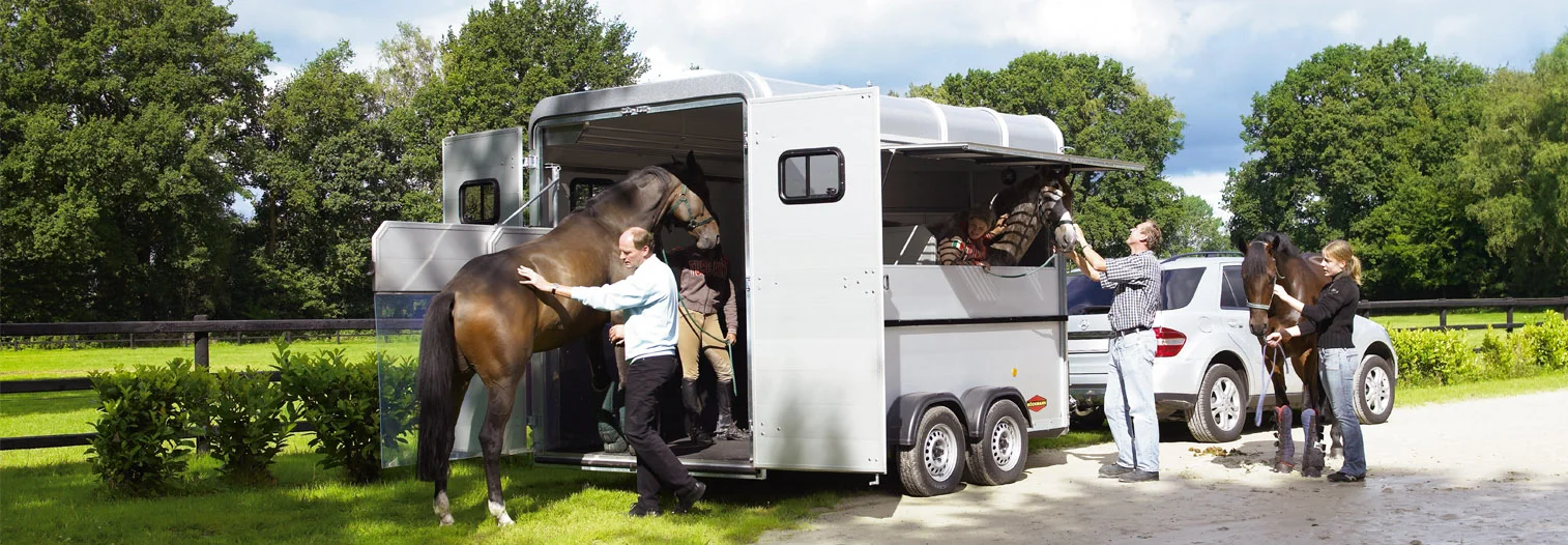 Boeckmann Silder4.jpg