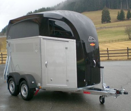 Boeckmann BIG Champion R horse float3.jpg