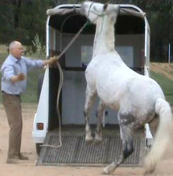 Problem horse or problem float?