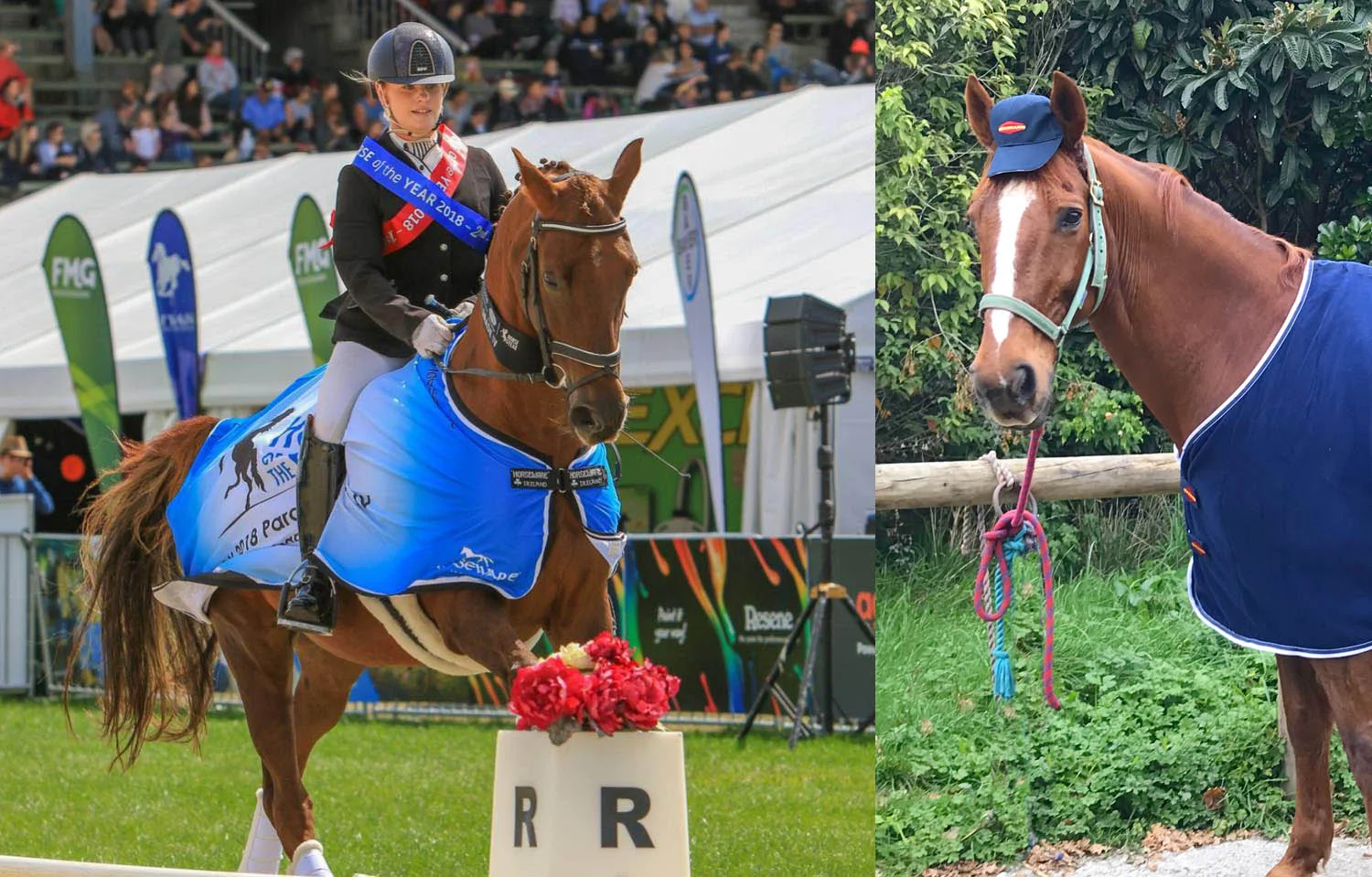 Louise and spirit hoy.jpg