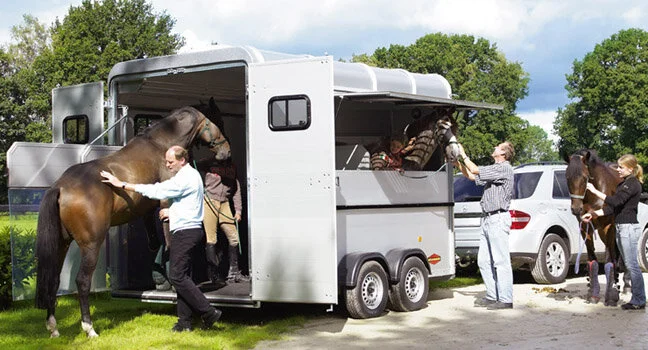 Boeckmann #1 brand.jpg