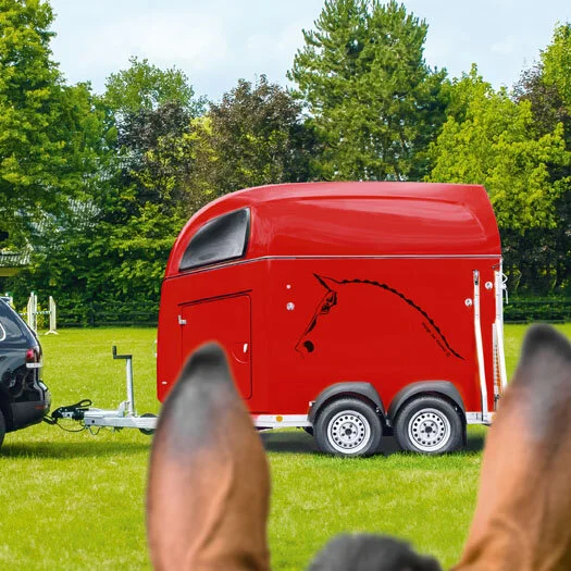 Boeckmann horse floats Fibreglass.jpg