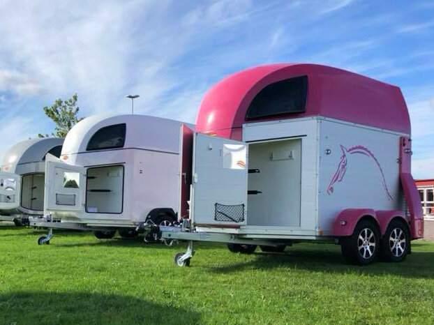 Champ pink front.jpg