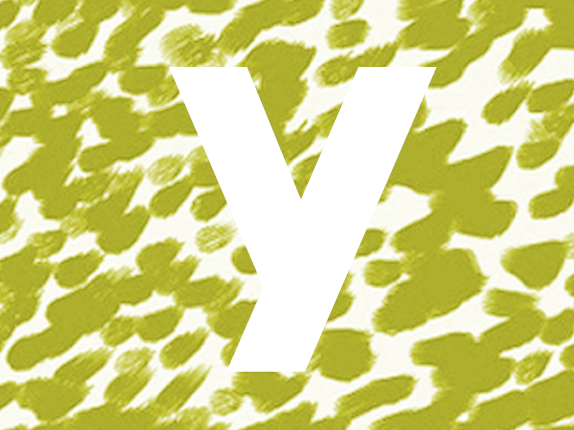 y.png