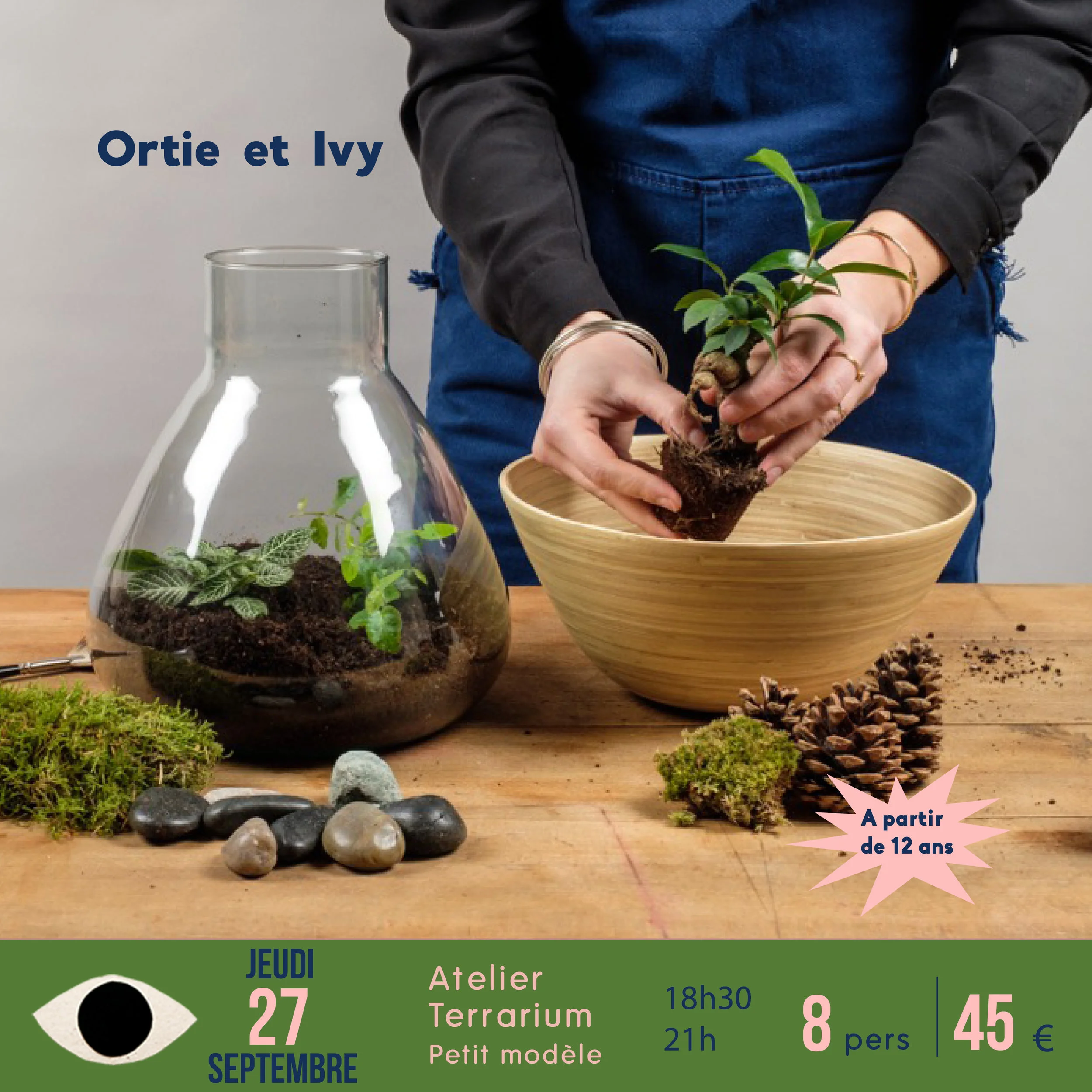terrarium x Ortie & Ivy / petit modèle