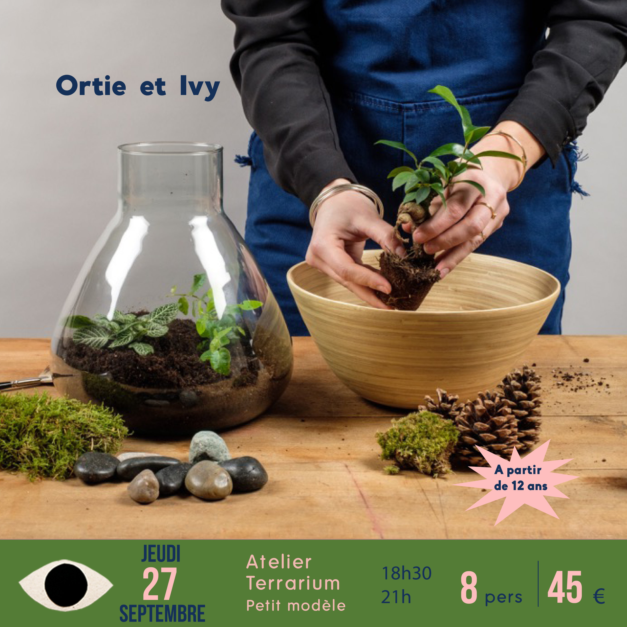 terrarium x Ortie & Ivy / petit modèle
