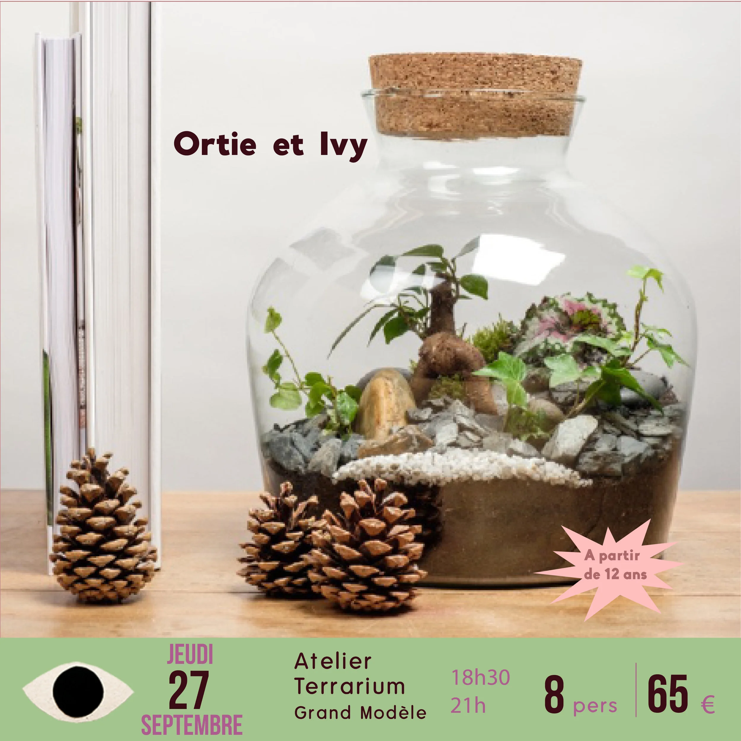 terrarium x Ortie & Ivy / grand modèle