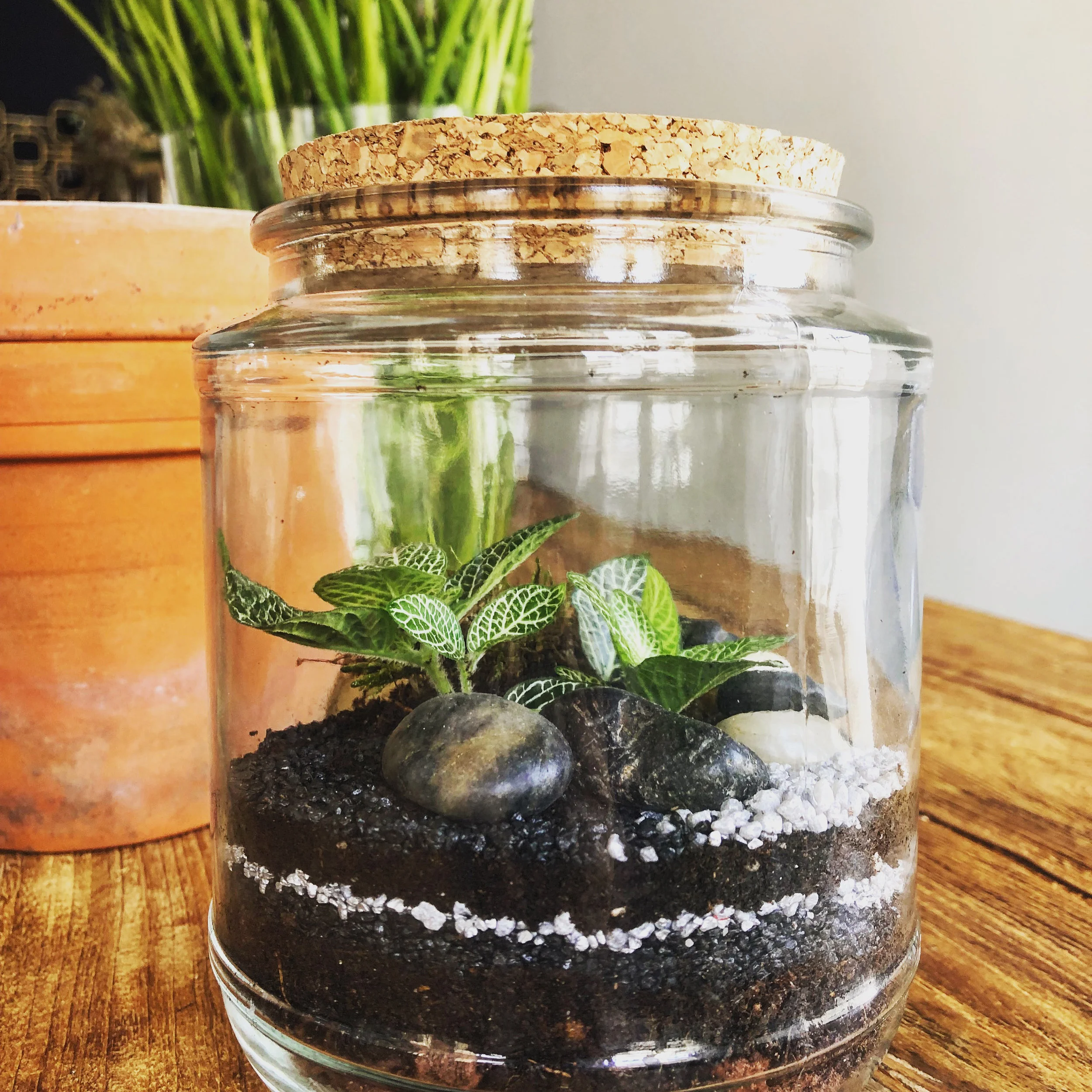 Atelier Terrarium