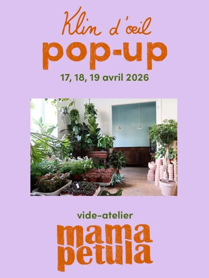 SAVE THE DATE 🌱 POP-UP vide atelier @mamapetula chez klin d&rsquo;oeil  les 17, 18 &amp; 19 avril 2026
6 rue Deguerry paris 11e ( &agrave; l&rsquo;atelier ) 
C&rsquo;est une belle rencontre v&eacute;g&eacute;tale, n&eacute;e il y a plus de 10 ans av