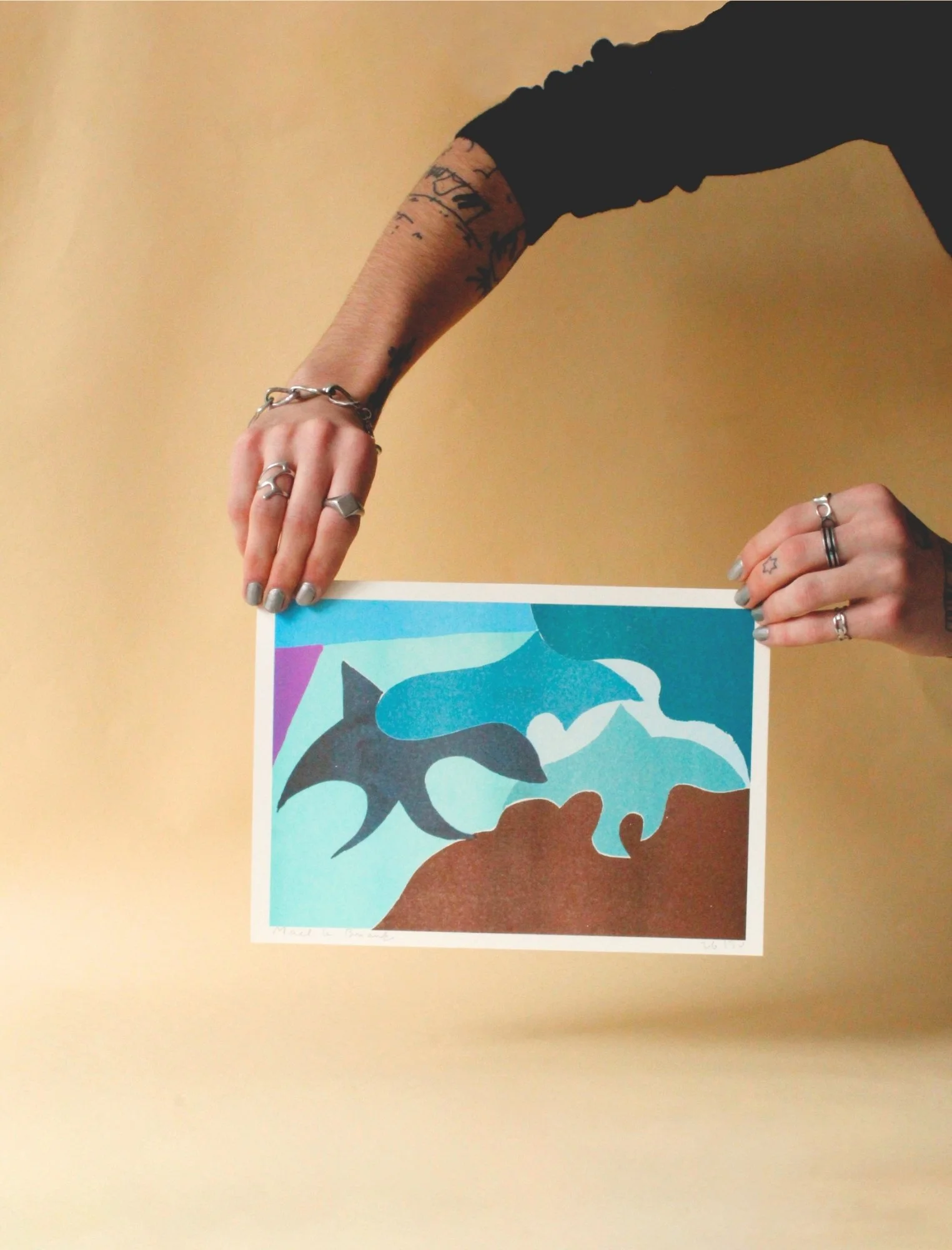 Illustration "Des oiseaux pleins les étoiles" – Maël Le Briand