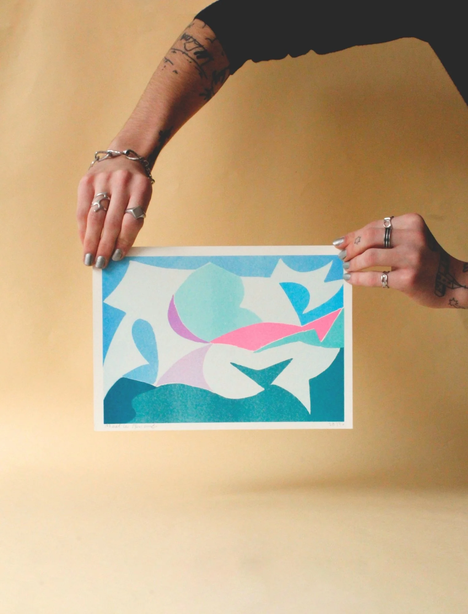 Illustration "La danse des Oiseaux" – Maël Le Briand