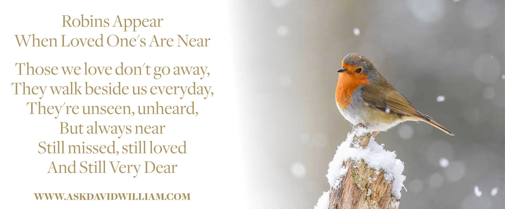 Robin Spiritual Meaning — David William Psychic Medium