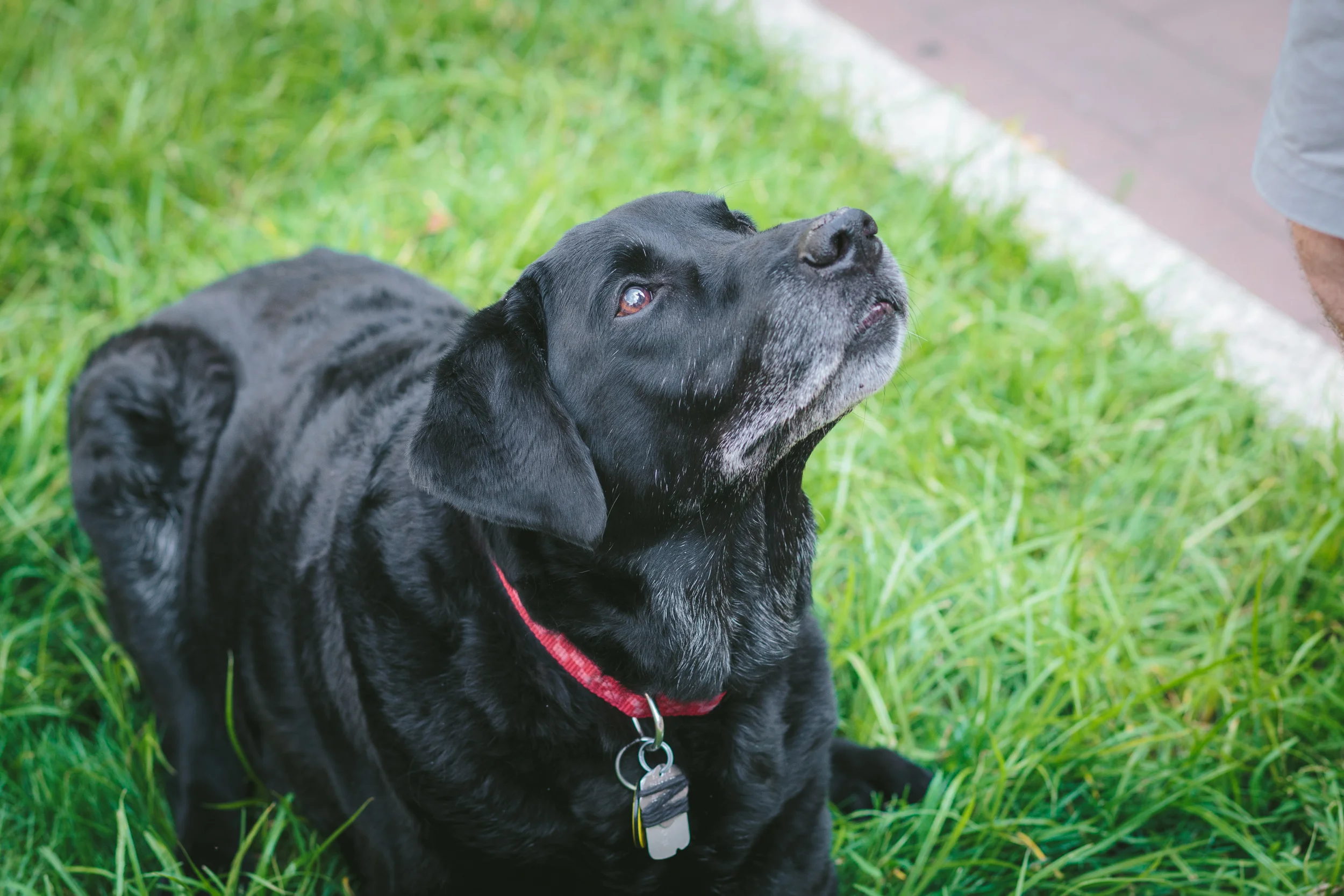 Mike&Radar-3337.jpg