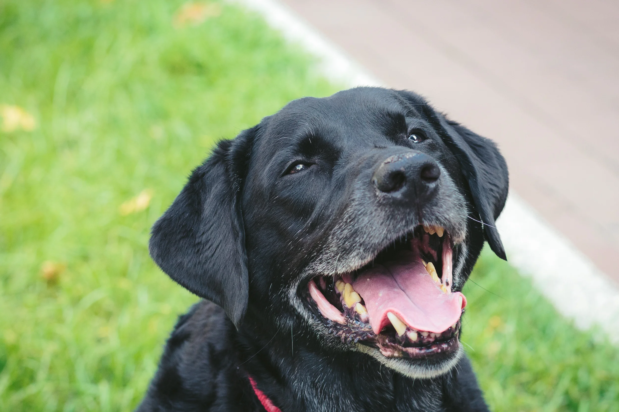 Mike&Radar-3356.jpg