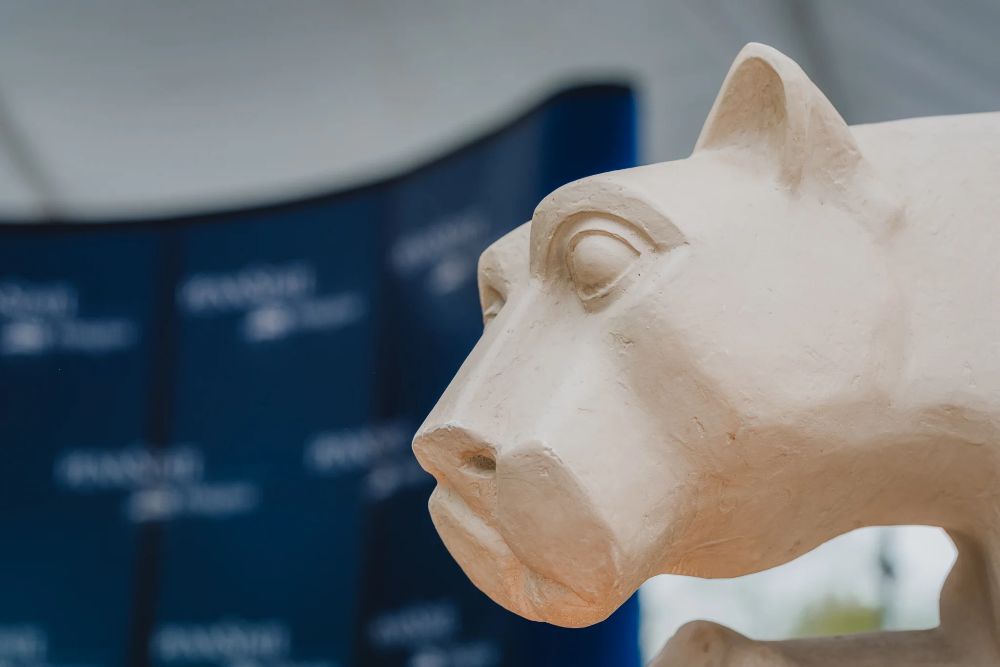 PSU Commencement 2018 - Web-2.jpg