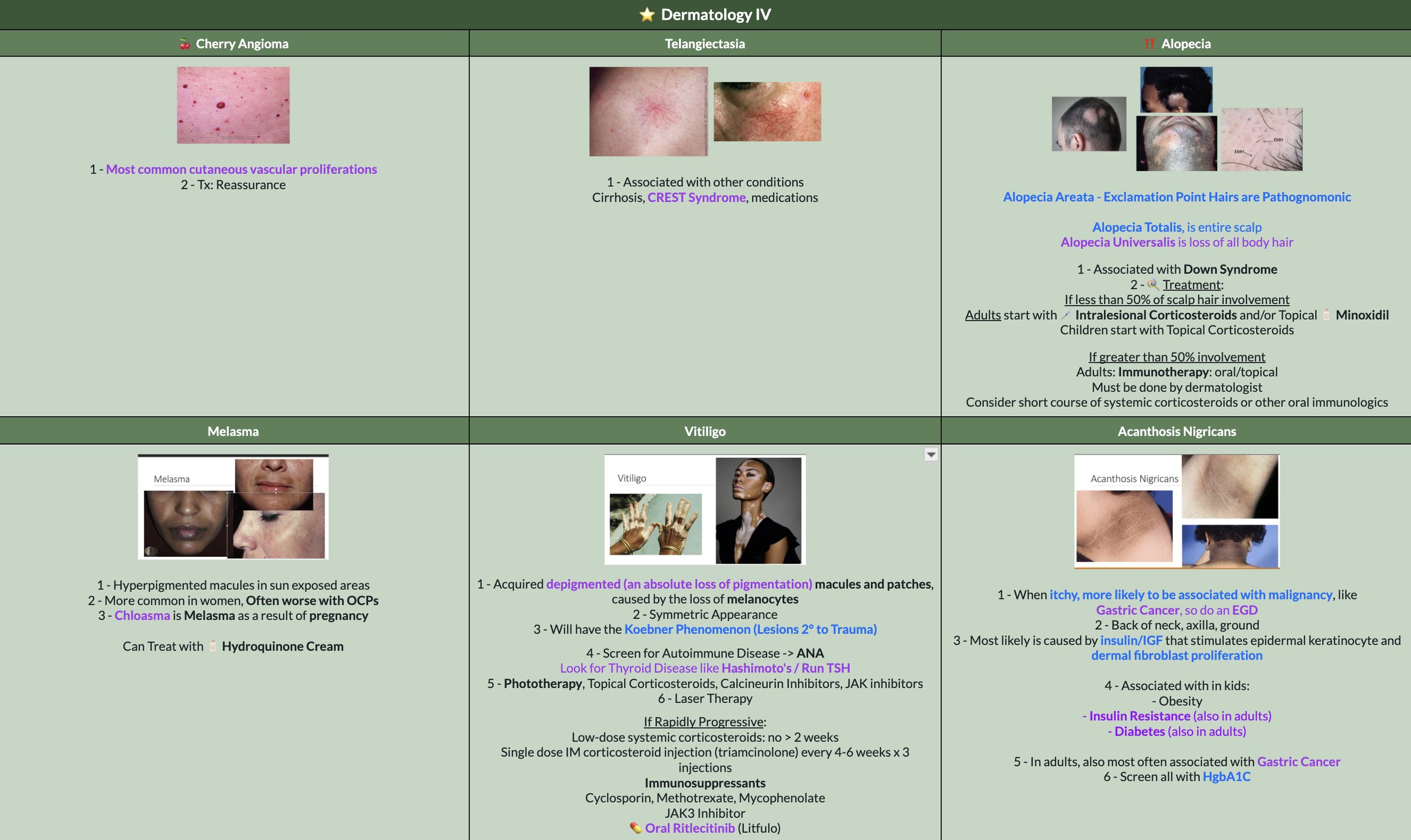 Derm IV.jpg