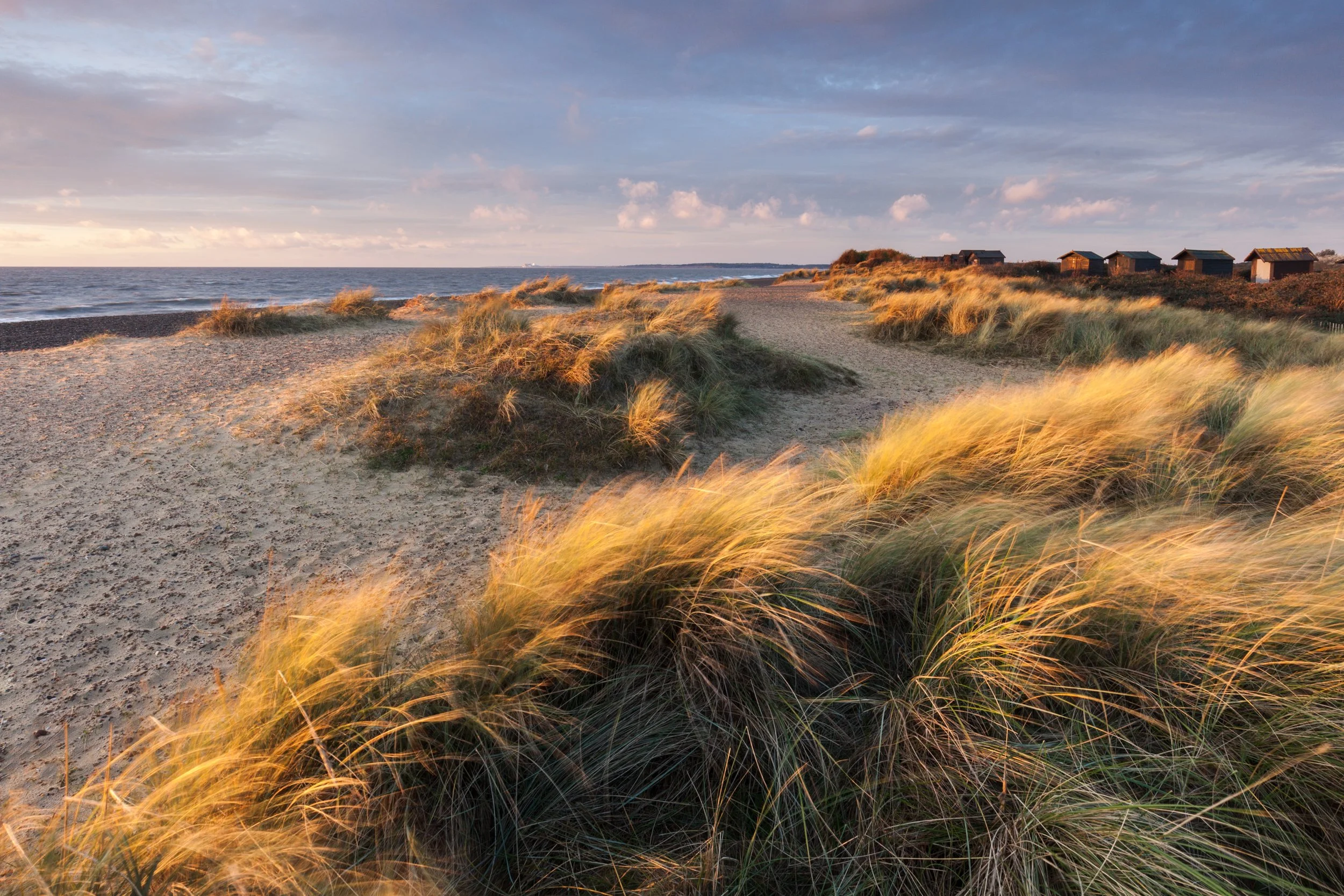 Walberswick-14.jpg